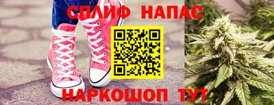 крисы Кингисепп