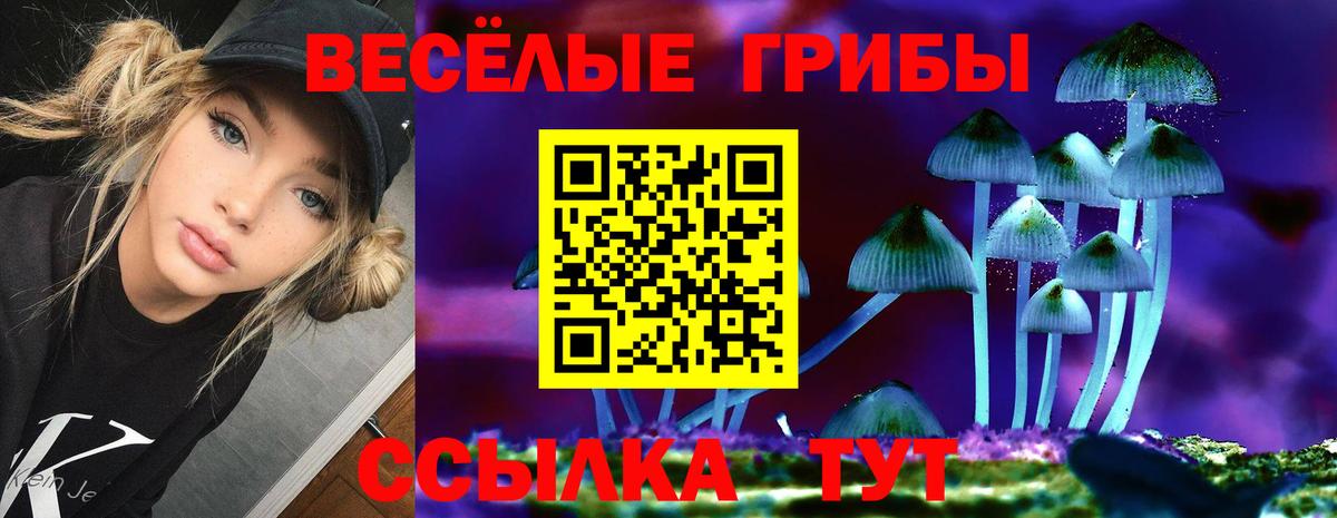 Невинномысск  Псилоцибиновые грибы Magic Shrooms  Вход с VPN 
